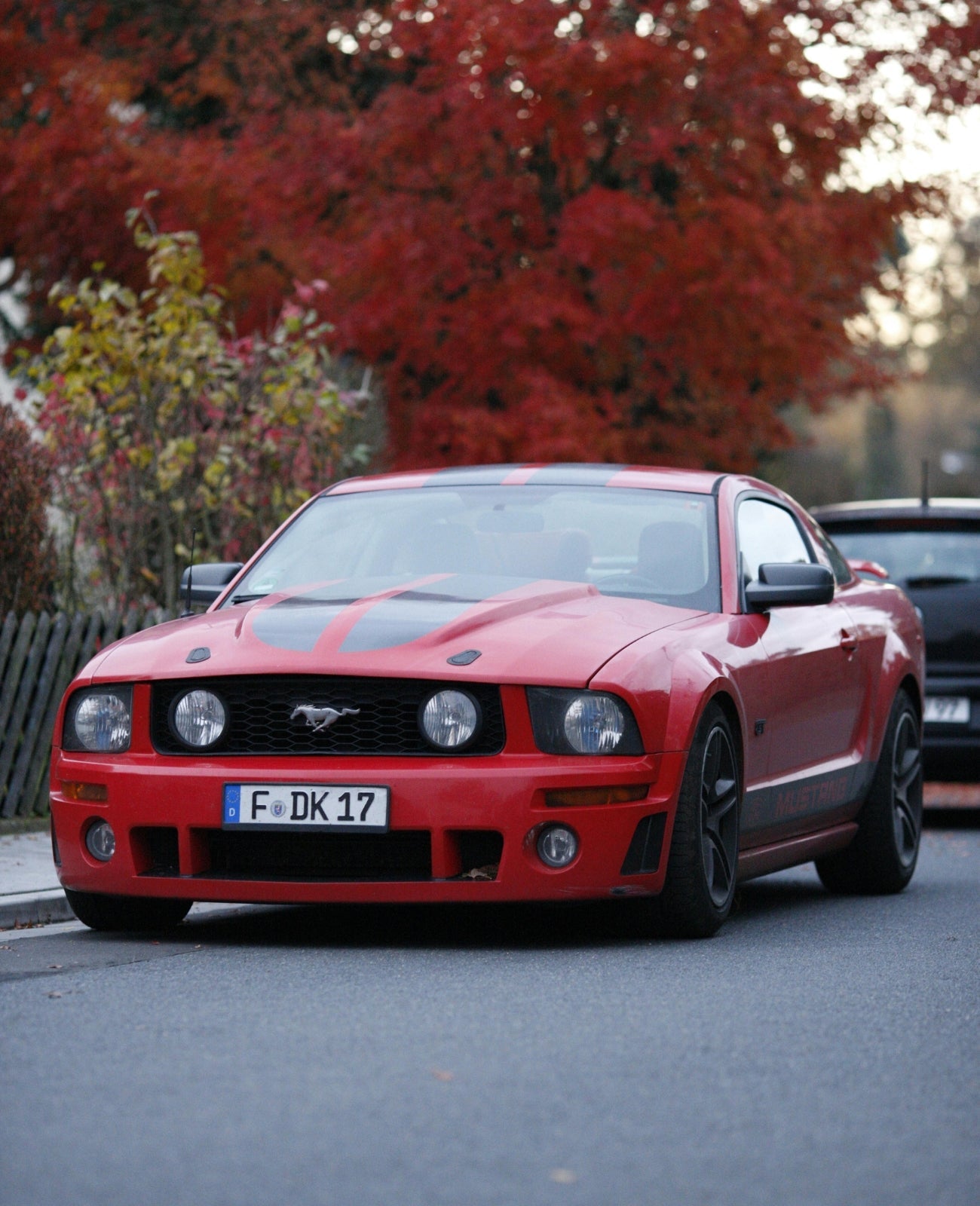 2005-2009 Ford Mustang