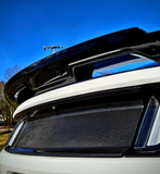 2015+ Mustang Carbon Fiber Decklid